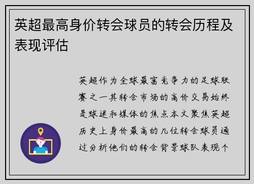 英超最高身价转会球员的转会历程及表现评估